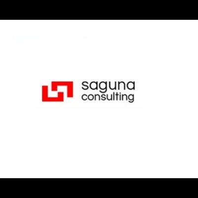 Saguna Consulting