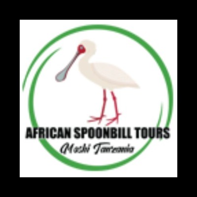 African Spoonbill Tours