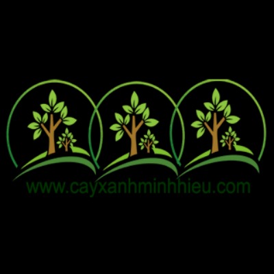 cayxanhminhhieu