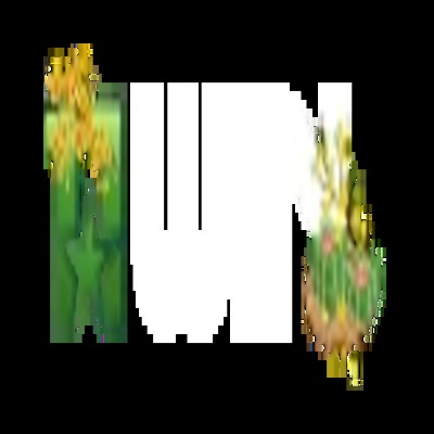 11winpub