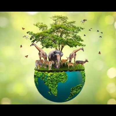 biodiversity