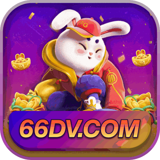 66dv6029
