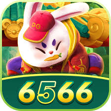6566