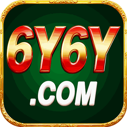 6y6y