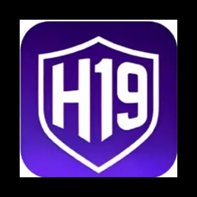 H19